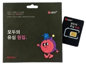 LG 모두의유심 원칩